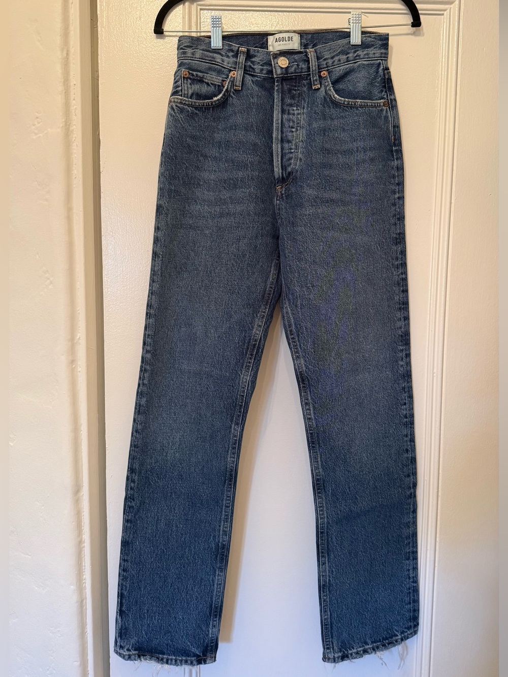 Agolde 90’s Pinch Waist Jean size 24